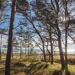 Amber Apartman Binz